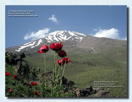 Timing for Mount Damavand Tours